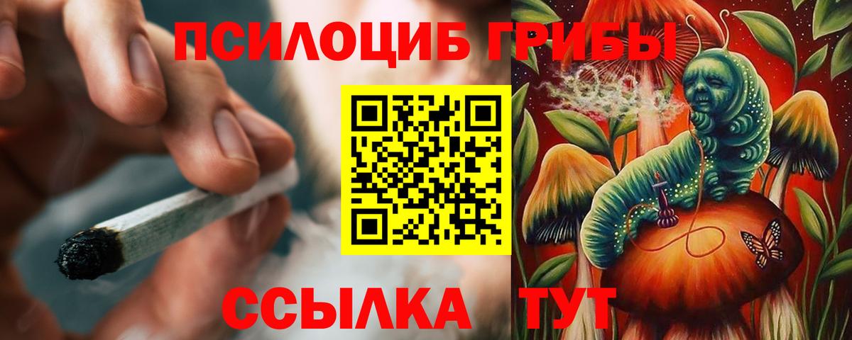 Псилоцибиновые грибы MAGIC MUSHROOMS  Псилоцибиновые грибы Cubensis  Вход с VPN  Карталы 